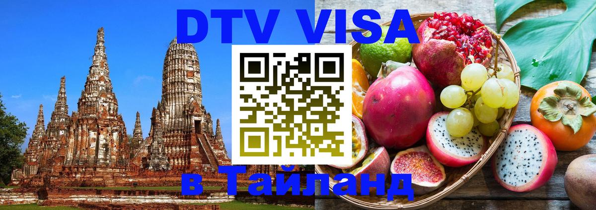 Сколько стоит DTV виза — актуальные цены, оформление даже без документов - Саранск 